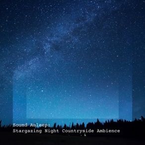 Download track Stargazing Night Countryside Ambience, Pt. 16 Elijah Wagner