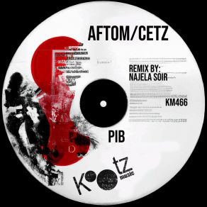 Download track PIB (Original Mix) Cetz