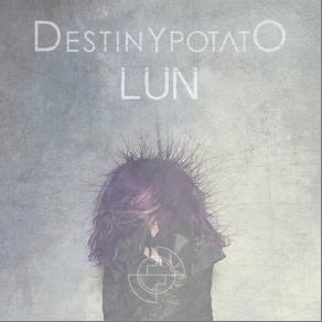 Download track Take A Picture Destiny Potato