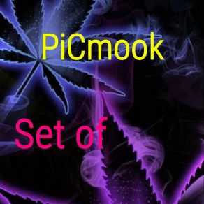 Download track Instructed Picmook