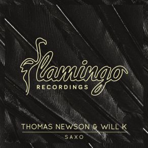 Download track Saxo (Extended Mix) Thomas Newson