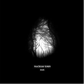 Download track I Nucleus Torn