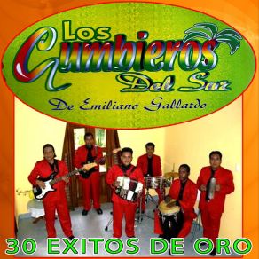 Download track Huerfanito Los Cumbieros Del Sur