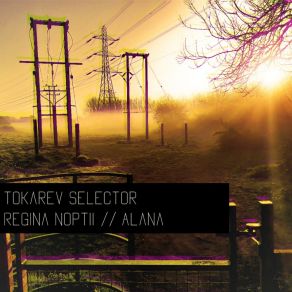 Download track Wolfie Tokarev Selector