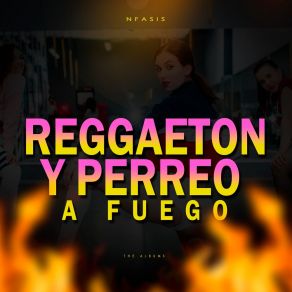 Download track Vibra NfasisDon Miguelo, Dj Alexis