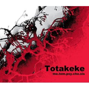 Download track In. An. I. Mate Totakeke