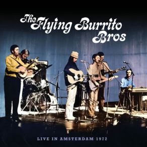 Download track Salty Dog Blues The Flying Burrito Brothers