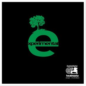 Download track Experimental (Original Mix) Beatmasta