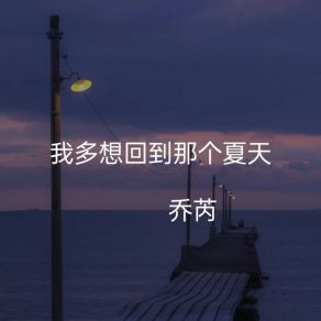 Download track 我多想回到那个夏天 乔芮