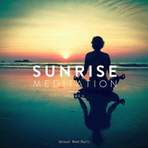 Download track Sunshine Delight (Original Mix) Relaxea