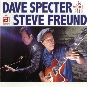 Download track Adrienne Steve Freund, Dave Specter