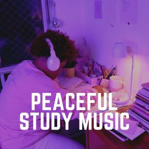 Download track Study Beats, Pt. 13 Study Music