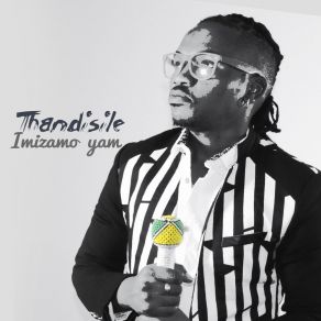 Download track Ndiliqaba Thandisile