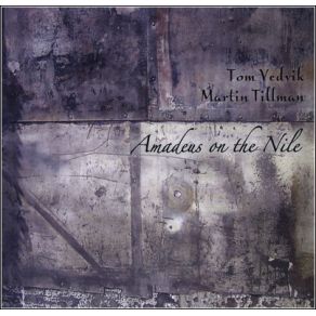 Download track Birdman Tom Vedvik, Martin Tillman