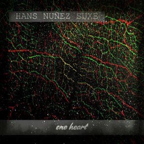 Download track Little Light Hans Nuñez Suxe