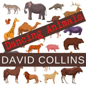 Download track Dancing Penguin David Collins