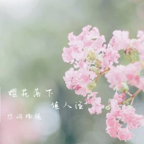 Download track 樱花落下佳人泣 (伴奏) 怒词楠骚