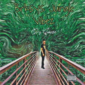 Download track Jungle Vibez (Part 2) Dre Smuzic