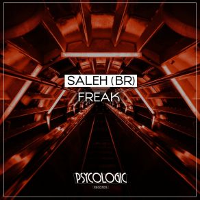 Download track Banjo (Original Mix) Saleh (BR)