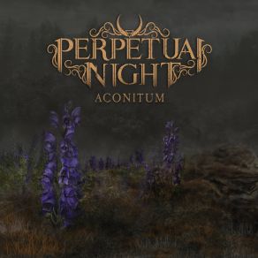 Download track Silver Key Perpetual Night