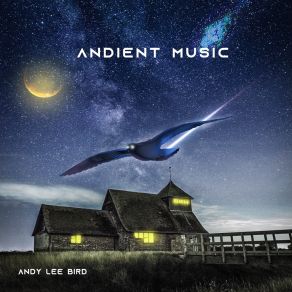 Download track Flies In The Vent Pipe Andy Lee Bird