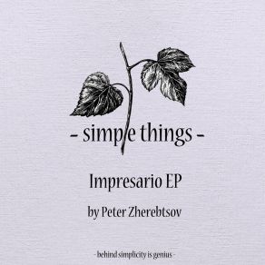 Download track Sofism Peter Zherebtsov