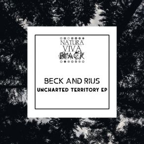 Download track New Age Beck And Rius