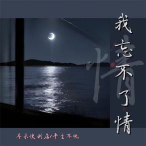 Download track 我忘不了情 (伴奏) 平生不晚