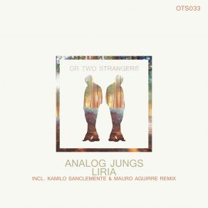 Download track Liria (Original Mix) Analog Jungs