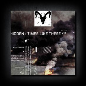 Download track Organic Dub DJ Hidden, Numek