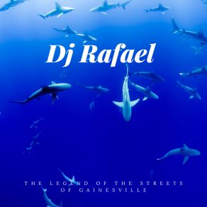 Download track I Never Thought I'd Make It Like This DJ RafaelMichael