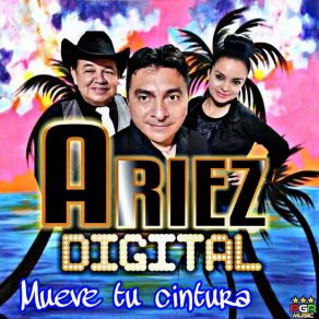 Download track Mueve La Cintura Ariez Dijital