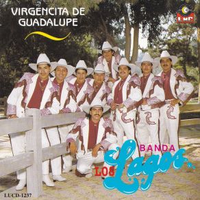 Download track Cantinero Amigo Banda Los Lagos