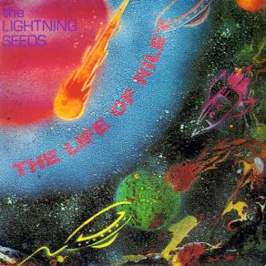 Download track Where Flowers Fade The Lightning Seeds