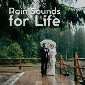 Download track Preen Rain, Pt. 5 Natsound