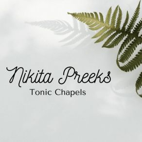 Download track Throughout Every Nikita Preeks