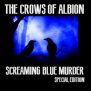 Download track Under August Skies The Crows Of Albion