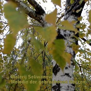 Download track Melodie Der Gebrochenen Herzen (Piano Version) Walerij Seliwanow