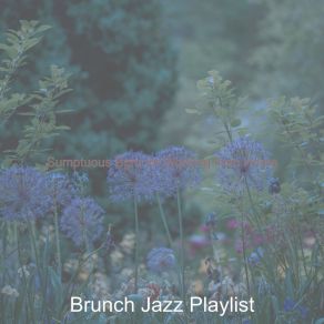 Download track Memory Of Stress Relief Brunch Jazz Playlist