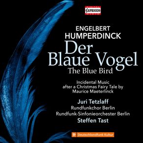 Download track Der Blaue Vogel (Concert Version Ed. S. Tast): Der Palast Der Fee Rundfunkchor Berlin, Rundfunk Sinfonieorchester Berlin, Juri Tetzlaff, Steffen Tast