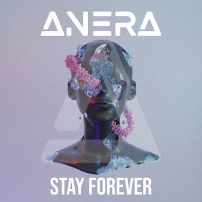 Download track Stay Forever (Extended Mix) Anera