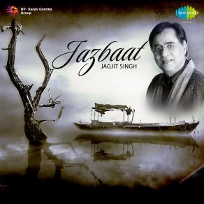 Download track Main Khayal Hoon Kisi Aur Ka (Original) Chitra Singh