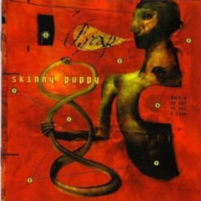 Download track Grave Wisdom Skinny Puppy