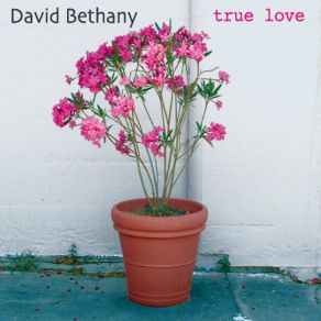 Download track She Doesn't Want To Say David Bethany