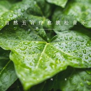 Download track 纯净五音旋律 (放松纯音乐) 治愈纯音