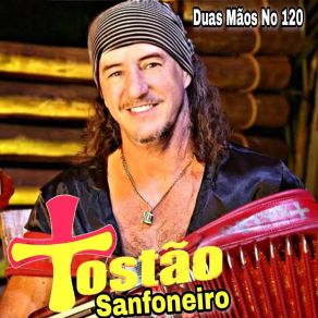 Download track Gaivota Pantaneira Tostão Sanfoneiro