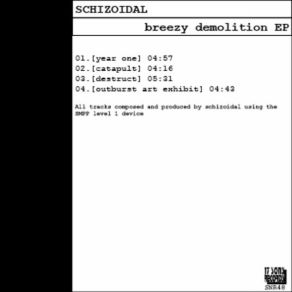 Download track Destruct Schizoidal