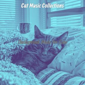 Download track Serene Ambiance For Kittens Cat Music Collections