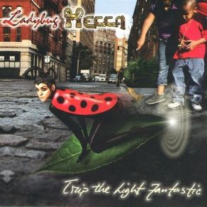 Download track Center Of Nowhere Ladybug Mecca