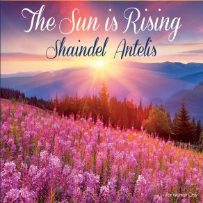 Download track Light Up The World Shaindel Antelis